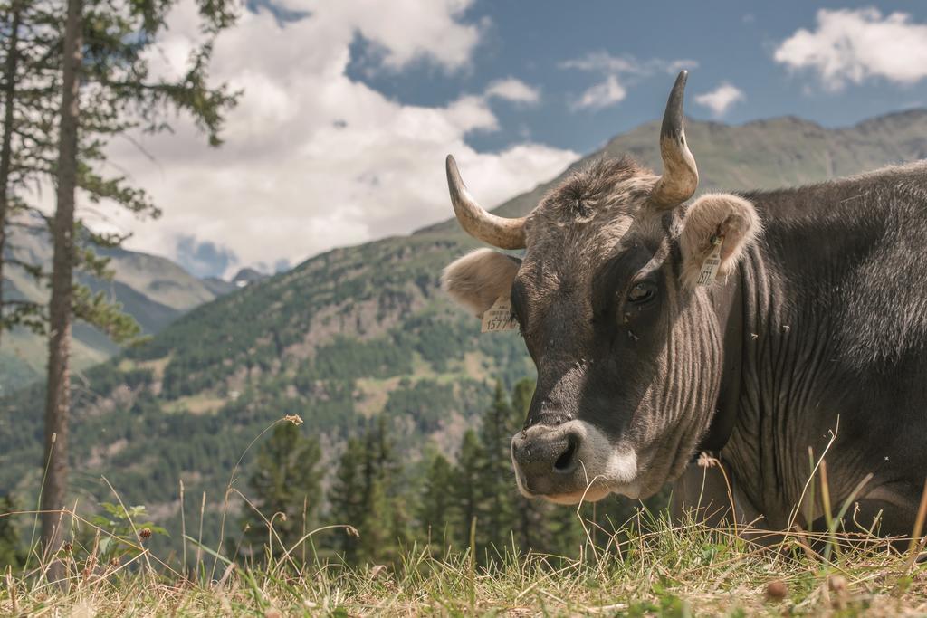 Landhaus Jenewein Obergurgl Exteriér fotografie